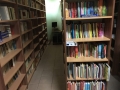 biblioteka-rosochata2